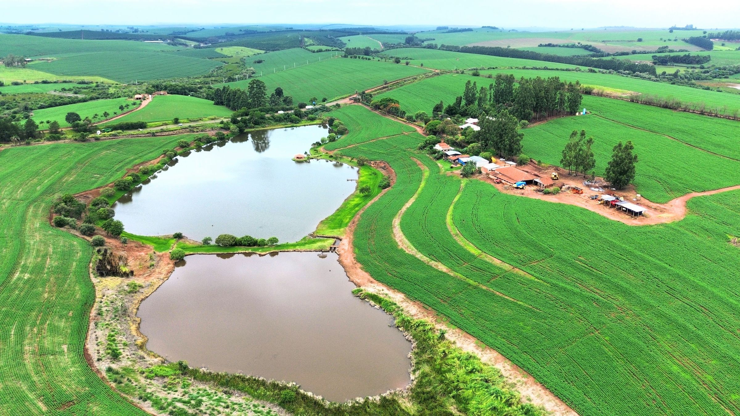 Lavoura com duas lagoas separadas por um barramento, eucaliptos e a sede da fazenda, vista de cima